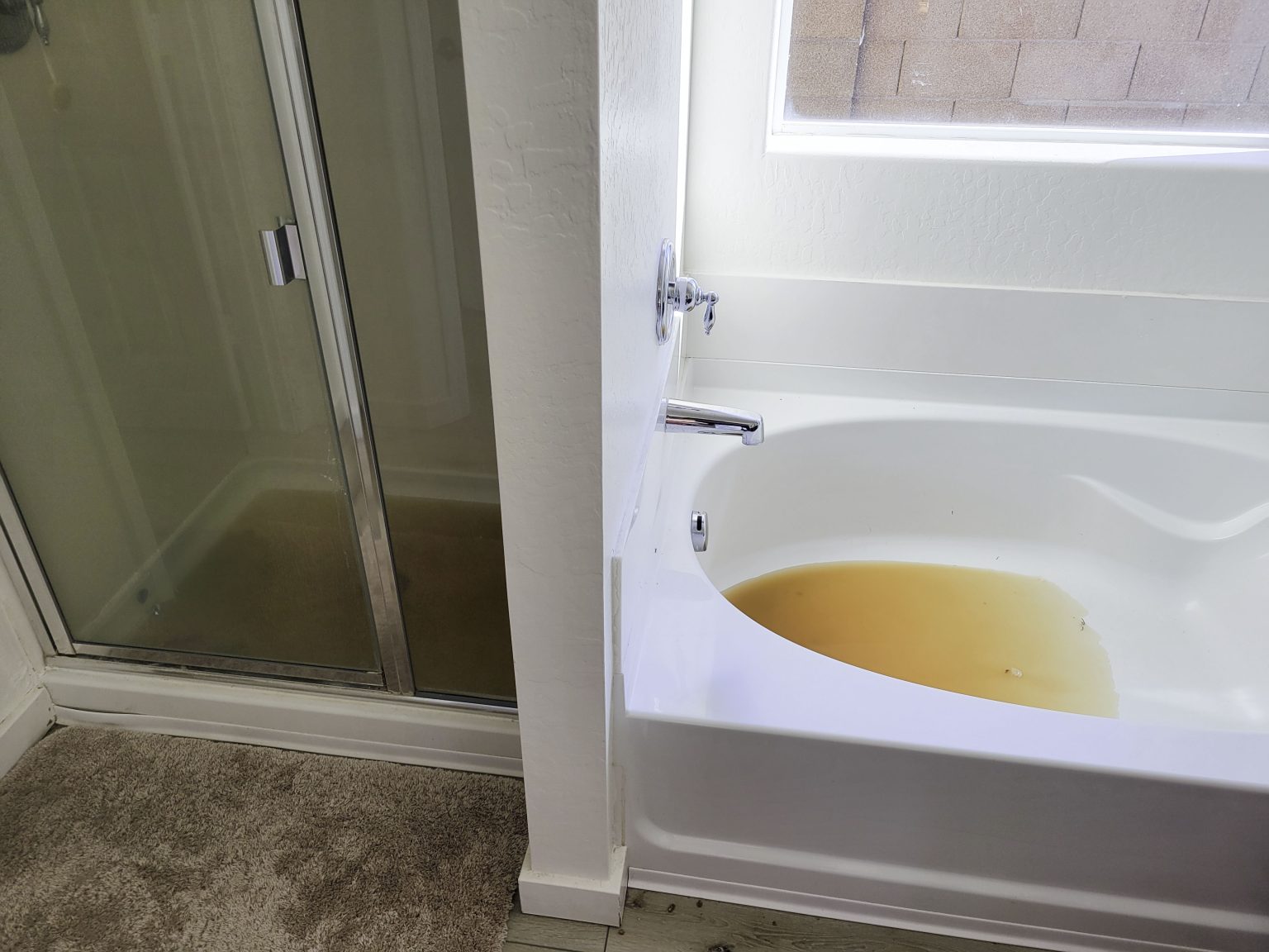 backed up pipes in a bathroom